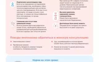 Ноющая боль внизу живота на 37 неделе беременности — что делать?