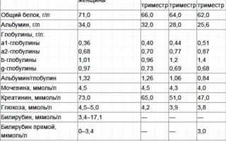 Билирубин при беременности — норма и отклонения