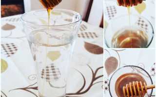 Медовая вода — польза и рецепт приготовления