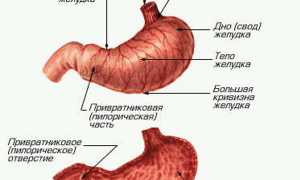 Симптомы и лечение кисты желудка у детей и взрослых