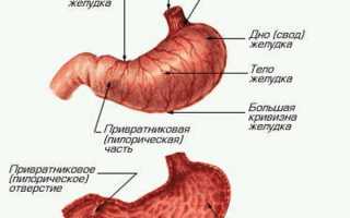 Симптомы и лечение кисты желудка у детей и взрослых