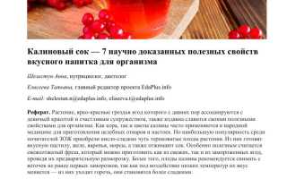 Полезные свойства и противопоказания калины — польза и риски