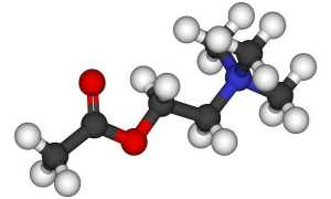 Что такое ацетилхолин