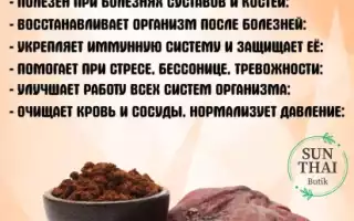Отзывы о грибе рейши — польза и эффективность