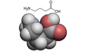Гамма-аминомасляная кислота (ГАМК): что это, функции, синтез