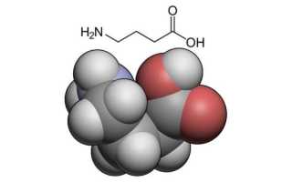 Гамма-аминомасляная кислота (ГАМК): что это, функции, синтез