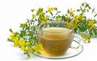 Трава продырявленный или каменный зверобой: полезные свойства для женщин