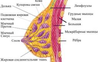 Нужно ли удалять липому молочной железы и что это такое