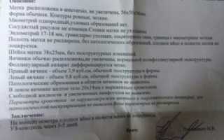 На какой день задержки узи покажет плодное яйцо