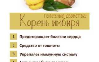 Имбирь с лимоном — польза и свойства