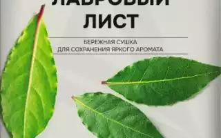Лавровый лист — секреты здоровья и вкуса
