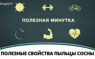 Польза сосновой пыльцы — зачем её использовать