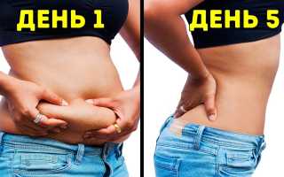Похудеть на 10 кг за неделю — Убираем живот и ляшки без спорта