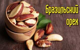 Противопоказания к употреблению бразильского ореха