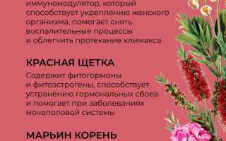 Травы для женского здоровья — польза и применение