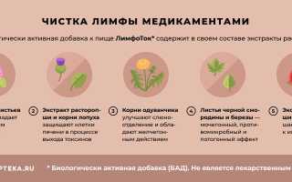 Как правильно чистить лимфу в домашних условиях