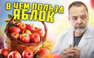 Кислоты в яблоках — польза и состав