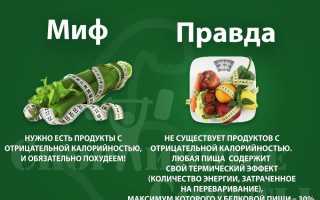 Отзывы о протеиновой диете — правда или миф?