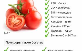 Помидор 100 грамм — польза и состав