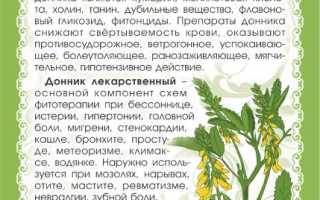 Донник лекарственный — польза и возможные риски