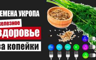 Витамины в свежем укропе — польза для здоровья