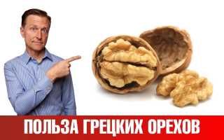 Полезные свойства грецких орехов для здоровья