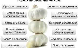 Чем полезен чеснок для сосудов — мифы и реальность