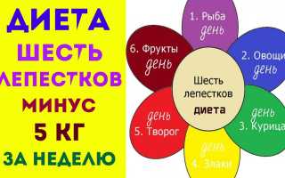 Рецепты для диеты «Шесть лепестков»