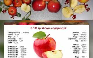 Яблочная диета — похудение на 10 кг за неделю в домашних условиях