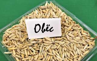 Польза цельнозернового овса для здоровья