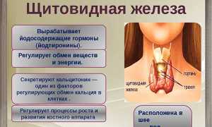 Кистозно солидные образование щитовидной железы