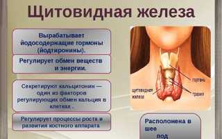Кистозно солидные образование щитовидной железы