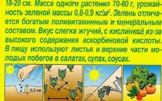 Полезные свойства портулака огородного