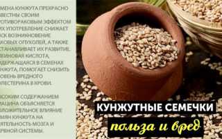 Состав семян кунжута — польза и свойства