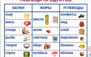 Стероиды — Белки или Жиры?
