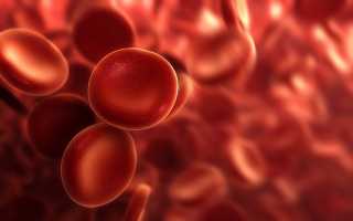 Уровень эритроцитов в крови понижен: причины, что делать