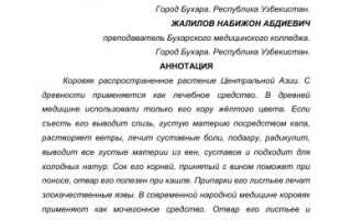 Коровяк — Применение в Народной Медицине