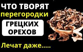 Аминокислотный состав грецкого ореха — польза для здоровья