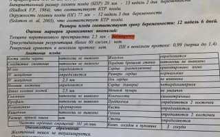 Базовый риск трисомии 21 — что нужно знать