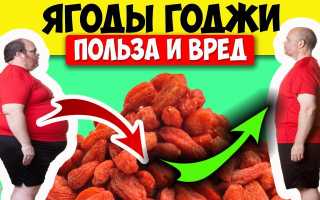 Джимала ягода — польза и применение