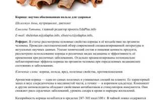 Корица — что это и почему она полезна