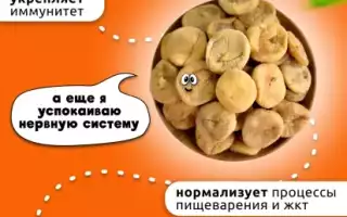 Содержание сахара в сушеном инжире — сколько стоит знать?