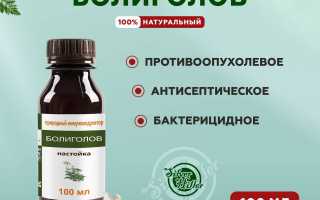 Настойка болиголова — применение и противопоказания