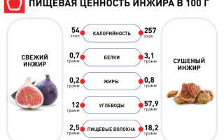 Витамины в сушеном инжире — польза и состав