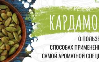 Кардамон — секрет женского здоровья и красоты