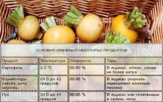 Химический состав репы — важные нутриенты и их влияние