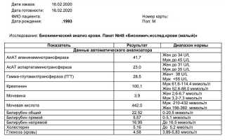 Расшифровка Бхак — Что Это Такое?