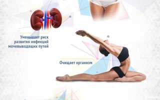 Мед утром натощак — польза и рекомендации
