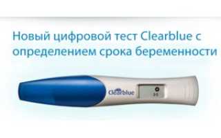 Ошибается ли электронный тест на беременность Clearblue?
