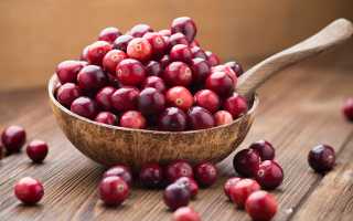 Клюква при отравлении — что нужно знать